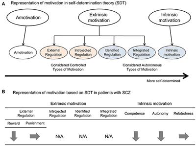 Neural Correlates for Intrinsic Motivational Deficits of Schizophrenia; Implications for Therapeutics of Cognitive Impairment